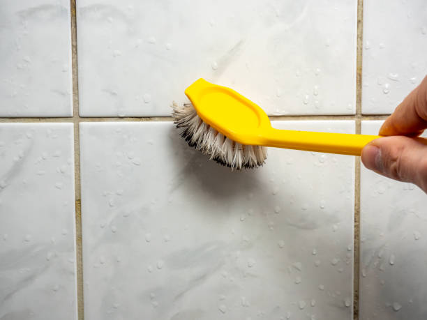 Best Residential Mold Remediation in Zebulon, NC