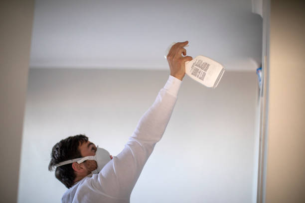 Best Commercial Mold Remediation in Zebulon, NC